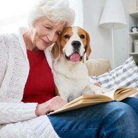 Alzheimer’s Agitation: 5 Steps to a Calmer Environment