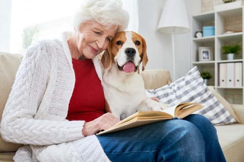 Alzheimer’s Agitation