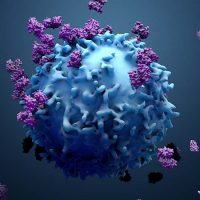 New Cancer Treatment Looks Promising for All Cancer Types