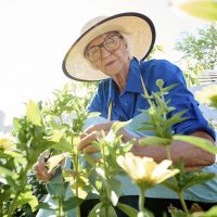 Healthy Activities for Seniors: The Benefits of Gardening