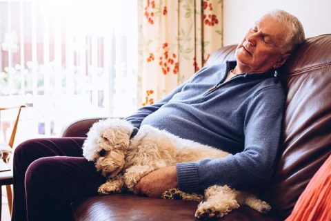 Senior man napping with dog